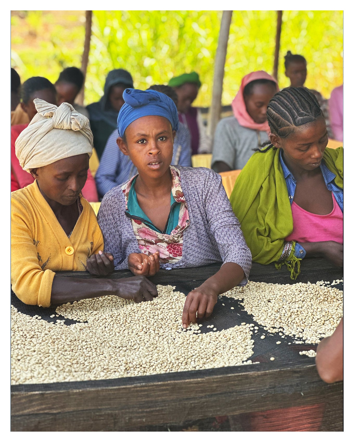 2050 coffee – 2050 coffee by Kurasu