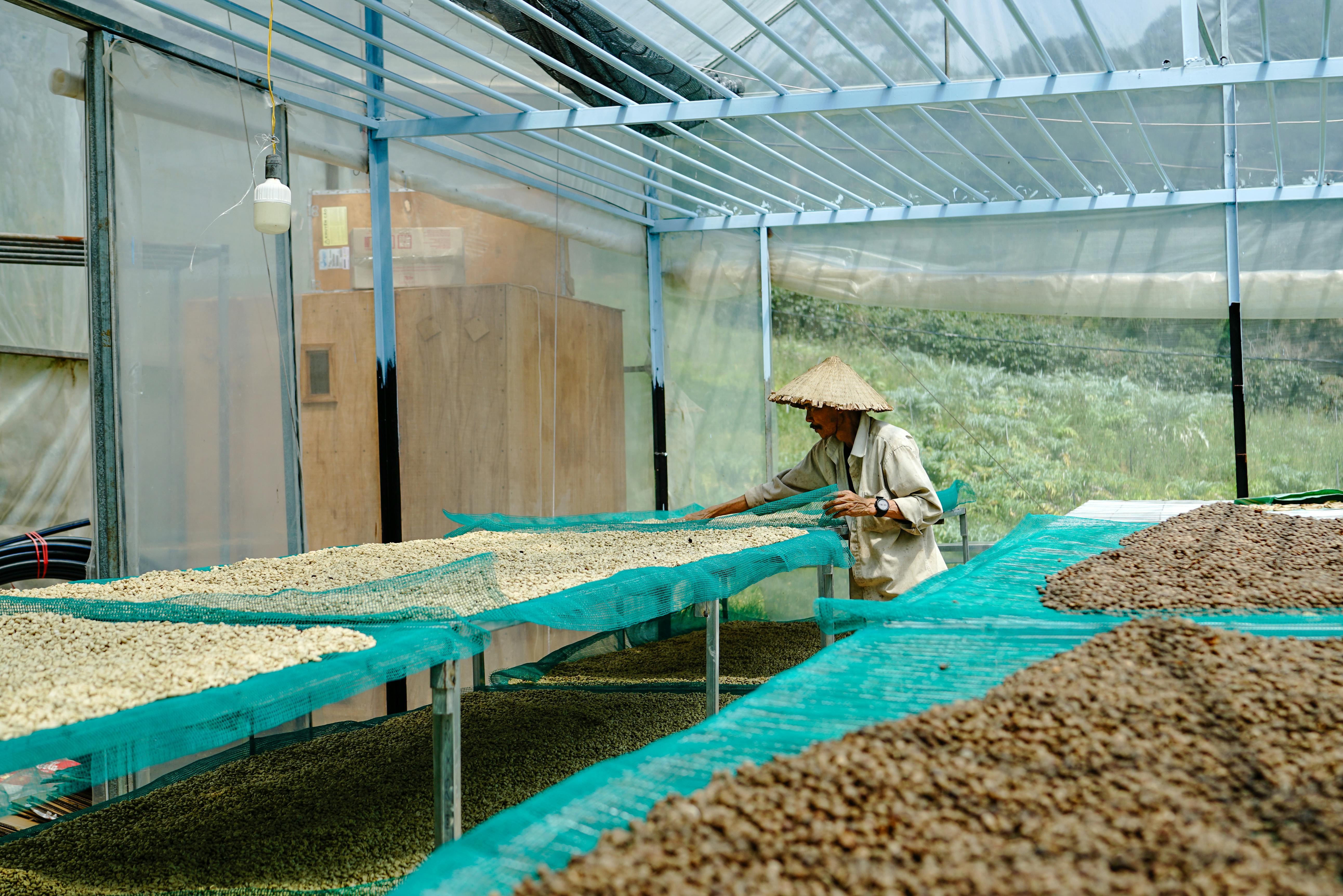 2050 COFFEE